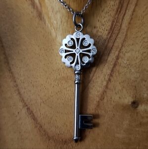 Stainless Steel Skeleton Key Pendant Necklace